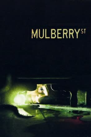 Mulberry.St