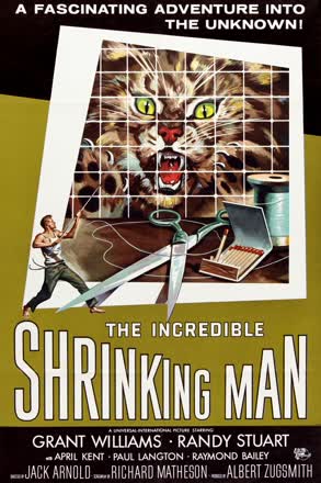 Incredible Shrinking Man